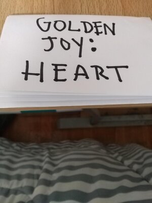 cover image of Golden Joy